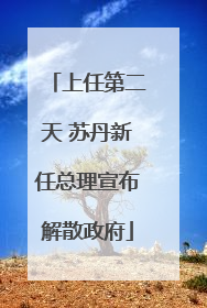 上任第二天 苏丹新任总理宣布解散政府