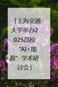 上海交通大学举办2025高校“AI+能源”学术研讨会
