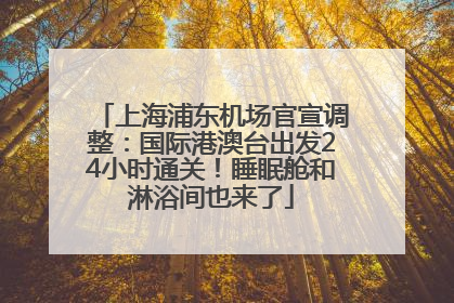 上海浦东机场官宣调整：国际港澳台出发24小时通关！睡眠舱和淋浴间也来了