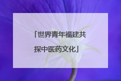 世界青年福建共探中医药文化