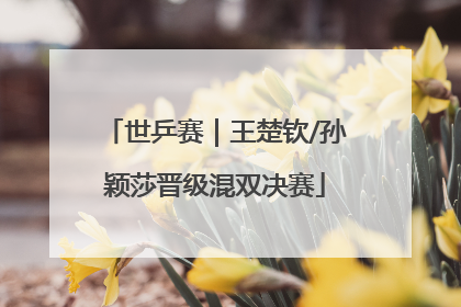 世乒赛｜王楚钦/孙颖莎晋级混双决赛