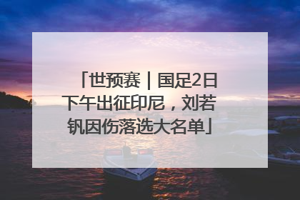世预赛|国足2日下午出征印尼,刘若钒因伤落选大名单