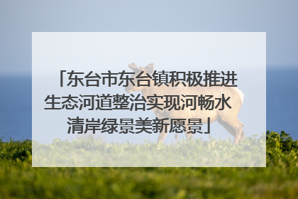 东台市东台镇积极推进生态河道整治实现河畅水清岸绿景美新愿景