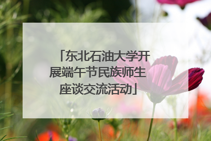 东北石油大学开展端午节民族师生座谈交流活动