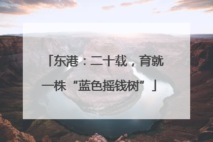东港：二十载，育就一株“蓝色摇钱树”