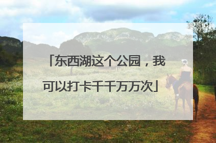 东西湖这个公园，我可以打卡千千万万次