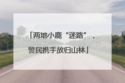 两地小鹿“迷路”，警民携手放归山林