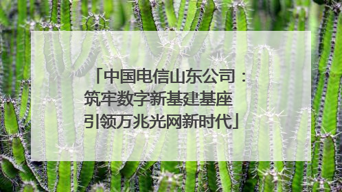 中国电信山东公司：筑牢数字新基建基座 引领万兆光网新时代