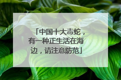 中国十大毒蛇，有一种正生活在海边，请注意防范