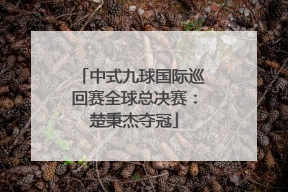 中式九球国际巡回赛全球总决赛：楚秉杰夺冠