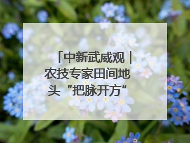中新武威观｜农技专家田间地头“把脉开方”送“及时雨”