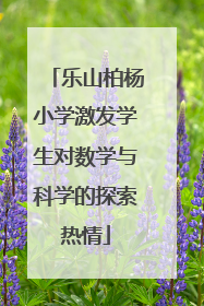 乐山柏杨小学激发学生对数学与科学的探索热情