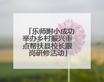 乐师附小成功举办乡村振兴重点帮扶县校长跟岗研修活动