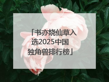 书亦烧仙草入选2025中国独角兽排行榜