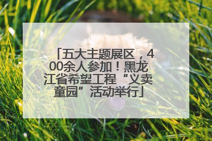 五大主题展区，400余人参加！黑龙江省希望工程“义卖童园”活动举行