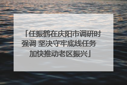 任振鹤在庆阳市调研时强调 坚决守牢底线任务 加快推动老区振兴
