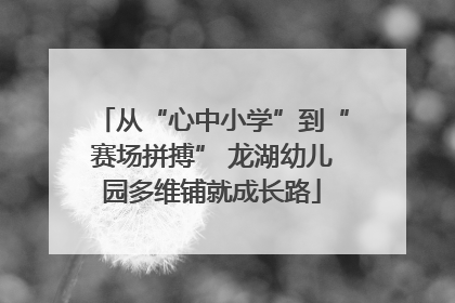 从“心中小学”到“赛场拼搏” 龙湖幼儿园多维铺就成长路