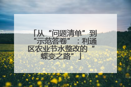 从“问题清单”到“示范答卷”：利通区农业节水整改的“蝶变之路”