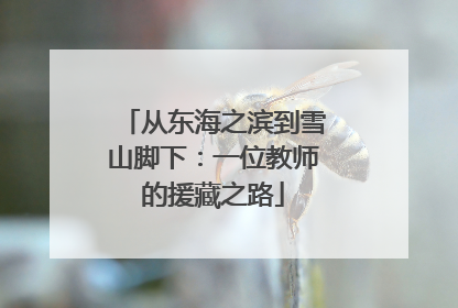 从东海之滨到雪山脚下：一位教师的援藏之路