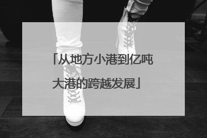 从地方小港到亿吨大港的跨越发展