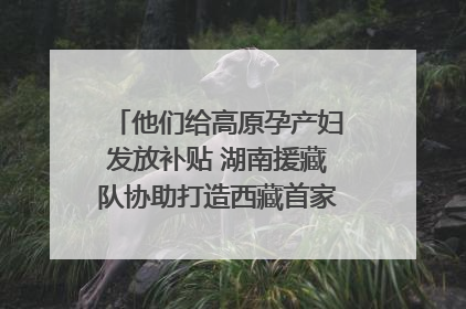 他们给高原孕产妇发放补贴 湖南援藏队协助打造西藏首家高原产儿协同中心