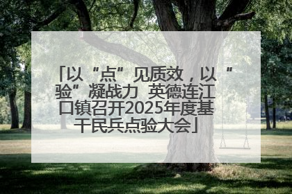 以“点”见质效，以“验”凝战力  英德连江口镇召开2025年度基干民兵点验大会