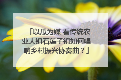 以瓜为媒 看传统农业大镇石莲子镇如何唱响乡村振兴协奏曲？