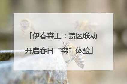 伊春森工：景区联动开启春日“森”体验
