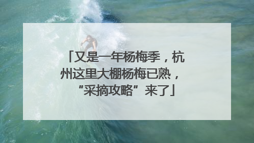 又是一年杨梅季，杭州这里大棚杨梅已熟，“采摘攻略”来了