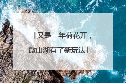 又是一年荷花开，微山湖有了新玩法