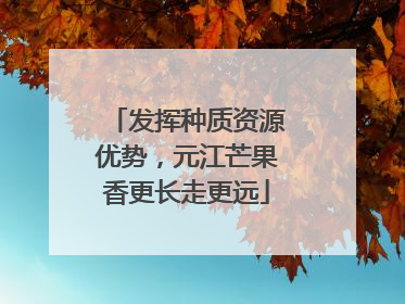 发挥种质资源优势，元江芒果香更长走更远