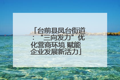 台前县凤台街道：“三向发力”优化营商环境 赋能企业发展新活力
