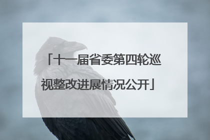 十一届省委第四轮巡视整改进展情况公开