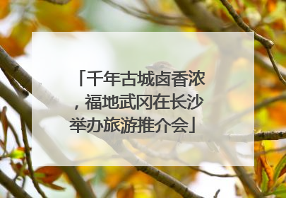 千年古城卤香浓，福地武冈在长沙举办旅游推介会