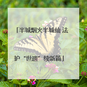 半城烟火半城仙 法护“世遗”续新篇