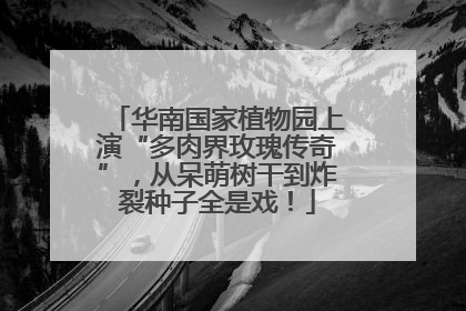 华南国家植物园上演“多肉界玫瑰传奇”，从呆萌树干到炸裂种子全是戏！