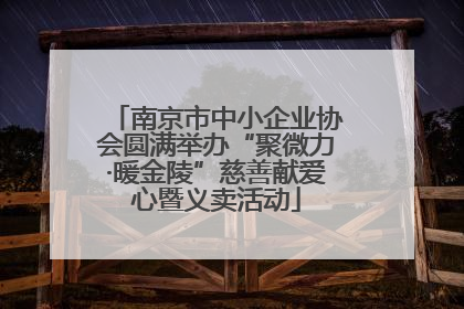 南京市中小企业协会圆满举办“聚微力·暖金陵”慈善献爱心暨义卖活动