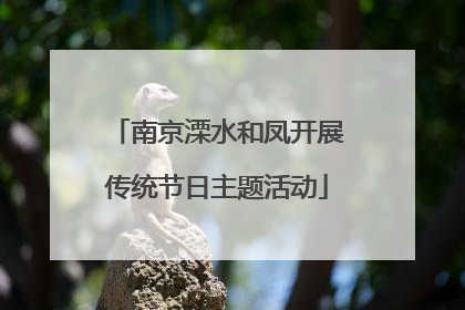 南京溧水和凤开展传统节日主题活动