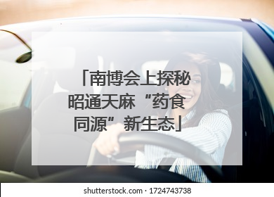 南博会上探秘昭通天麻“药食同源”新生态