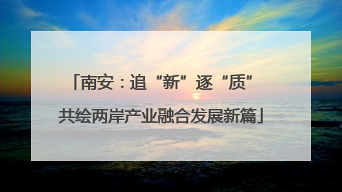 南安：追“新”逐“质” 共绘两岸产业融合发展新篇