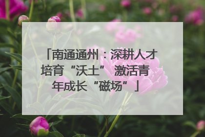 南通通州：深耕人才培育“沃土” 激活青年成长“磁场”