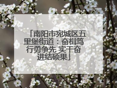 南阳市宛城区五里堡街道：奋楫笃行勇争先 实干奋进结硕果