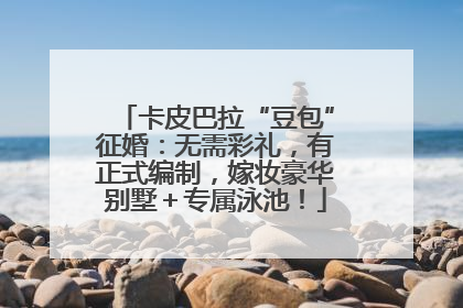 卡皮巴拉“豆包”征婚：无需彩礼，有正式编制，嫁妆豪华别墅＋专属泳池！