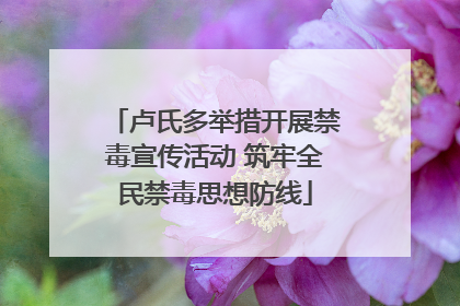 卢氏多举措开展禁毒宣传活动 筑牢全民禁毒思想防线