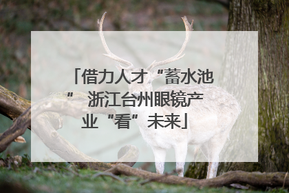 借力人才“蓄水池” 浙江台州眼镜产业“看”未来