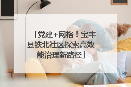 党建+网格！宝丰县铁北社区探索高效能治理新路径