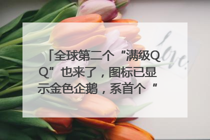 全球第二个“满级QQ”也来了，图标已显示金色企鹅，系首个“满级QQ”的小号
