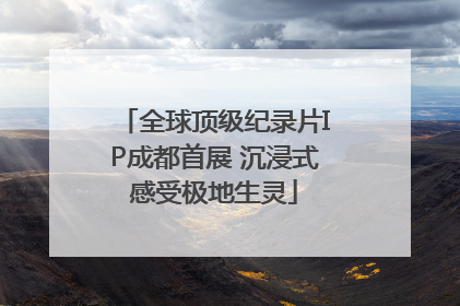全球顶级纪录片IP成都首展 沉浸式感受极地生灵