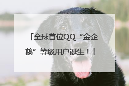 全球首位QQ“金企鹅”等级用户诞生！
