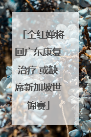 全红婵将回广东康复治疗 或缺席新加坡世锦赛